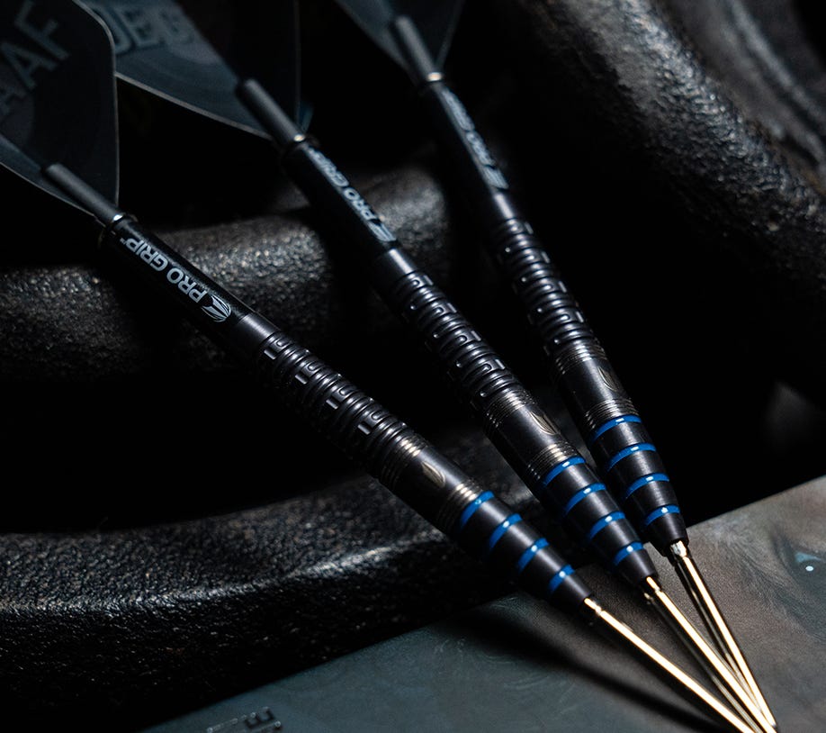 Jeffrey de Graaf G1 Darts in focus
